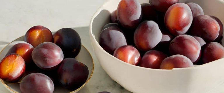 Can dogs eat plums? Technically, yes... but only the flesh, and with major caveats. Keep reading to learn everything you need to know about dogs and plums.