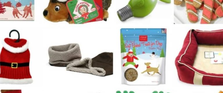 When you're making your list and checking it twice, don't forget to get a little something for Fido & Spot! Check out our favorite Christmas gifts for dogs!