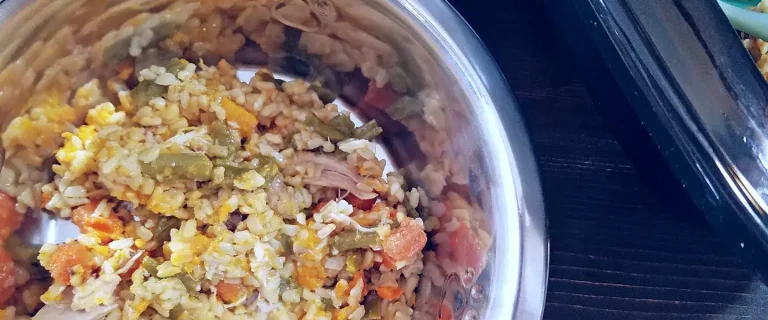 crockpot chicken dog food recipe