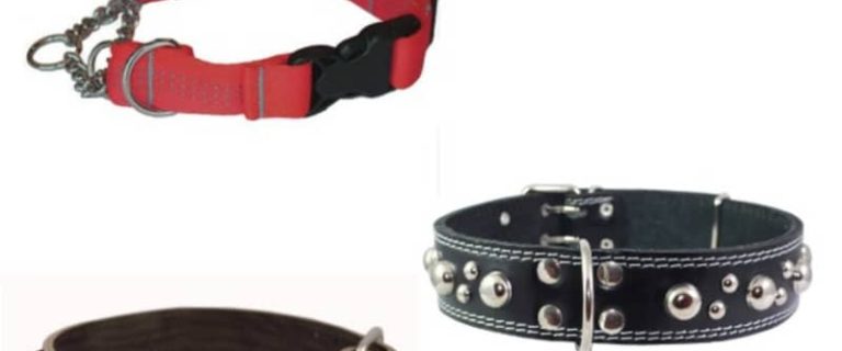 dog collars large dogs