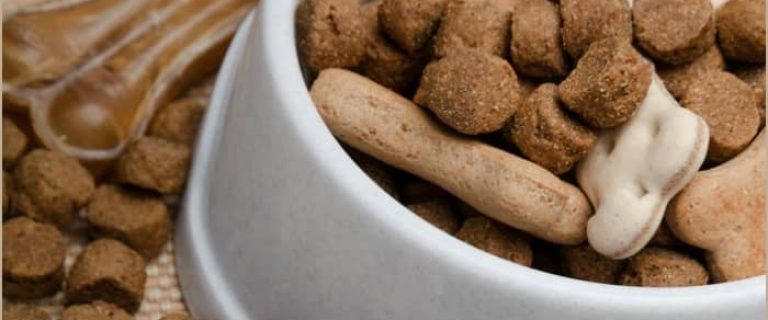 Feeding your dog isn’t always as easy as it sounds. Between the messes, the speed-eating and the icky breath from their dog food, it’s sometimes like trying to feed a toddler! Check out these five hacks that will dog feeding time much easier!