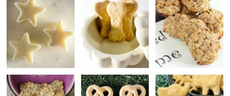 Love making treats & other goodies for your pooch? Check out our collection of dog food videos, recipes & treat tutorials that Fido will adore!