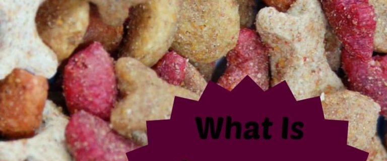 What is freeze dried dog food? How can you find the best brand for your canine pal? Check out our answers to these questions & decide if it's right for you!