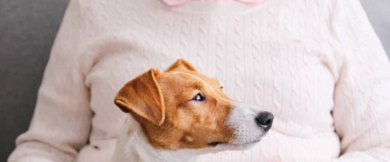 Should you get a puppy for a terminally ill relative? While dogs can lift our spirits, there are downsides, too. Look at the pros and cons.