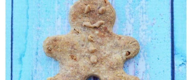 Get ready to spoil your pooch with our tasty homemade gingerbread man dog treats recipe! Makes a great Christmas gift or tree ornament too!