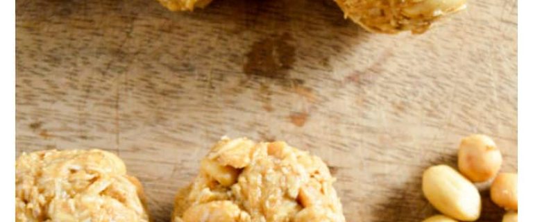 Ready for a great no-bake hypoallergenic dog treat recipe? Whip up a batch of our honey oat peanut butter balls for your pooch today!