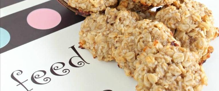 hypoallargenic dog treat recipe banana oatmeal treat