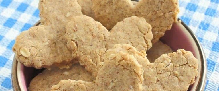 Looking for an easy hypoallergenic dog treat recipe that Spot will gobble up? Try our almond oatmeal cookies! Plus learn more about allergies in dogs!