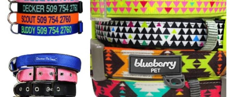 Looking for the best large breed collars for your dog? Look no further! We have the collars you have been searching for right here!