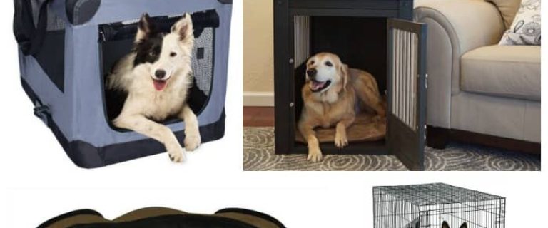 Looking for the best large dog crate ideas for your big pup? We've got you covered! Check out our top five picks!