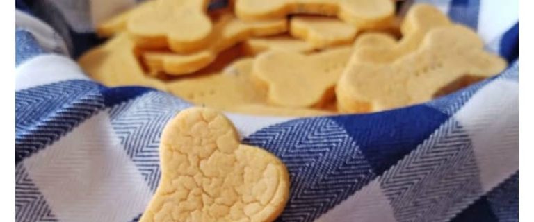 Looking for an easy homemade dog treat that will help Fido keep his resolutions to get in shape? Try out Low Fat Veggie Treats recipe!