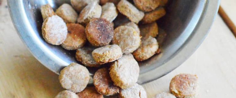 Looking for the perfect homemade mini training dog treats recipe? You'll love this easy 3-ingredient recipe! Find out how to make it!