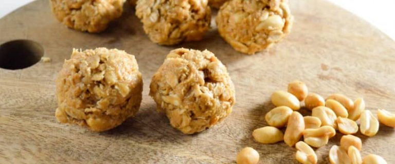 no-bake-peanut-butter-dog-treat-recipe-1-of-1-10-850x565