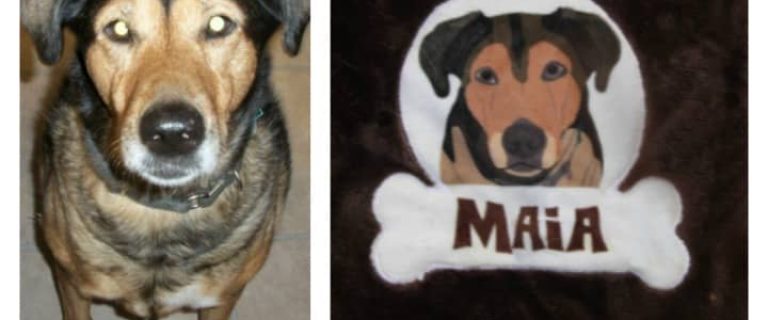 Looking for fun and unique customized dog gear? Check out PrideBites and give your dog a personalized work of art!