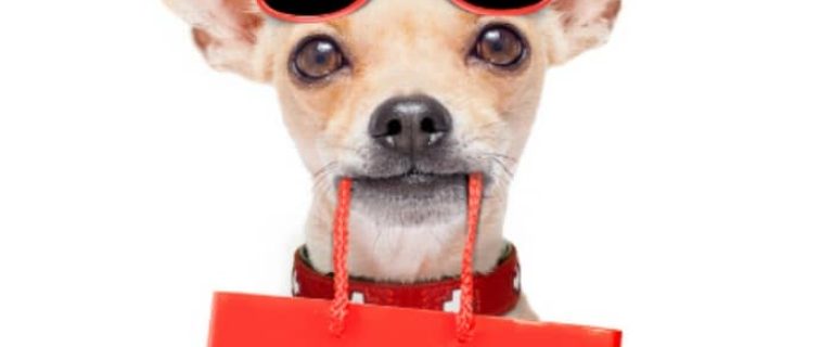 Can you take your dog to the mall? If you live near one of these 39 pet-friendly shopping malls, you sure can! Check them out!