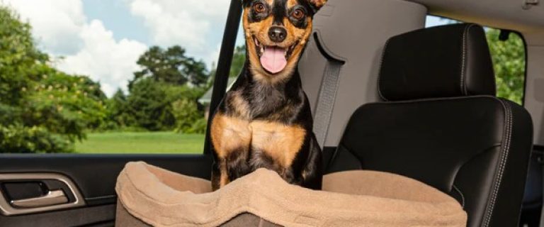 petsafe happy ride f