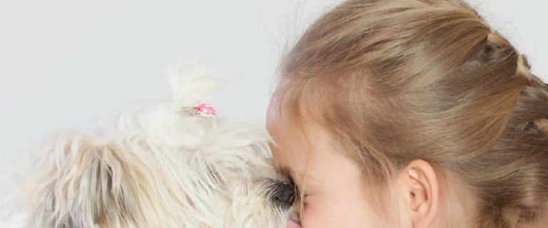 These small dogs for kids with allergies give your mini-me a chance to grow up with a beloved family companion without all the sneezing!