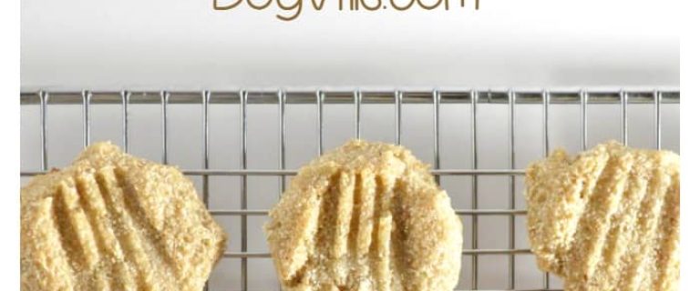 Looking for easy dog food recipes? Use baby food to make this yummy soft cookie homemade hypoallergenic dog treat recipe!