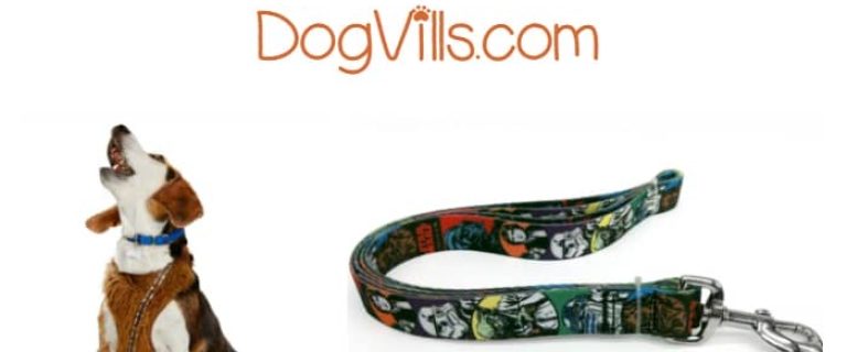 Walk your dog in style with these 5 fabulous Star Wars dog leashes and harnesses! They're a must for any fan of the franchise!