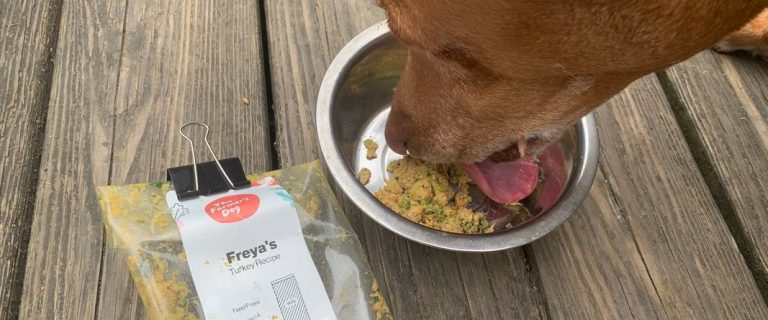 the farmers dog food review