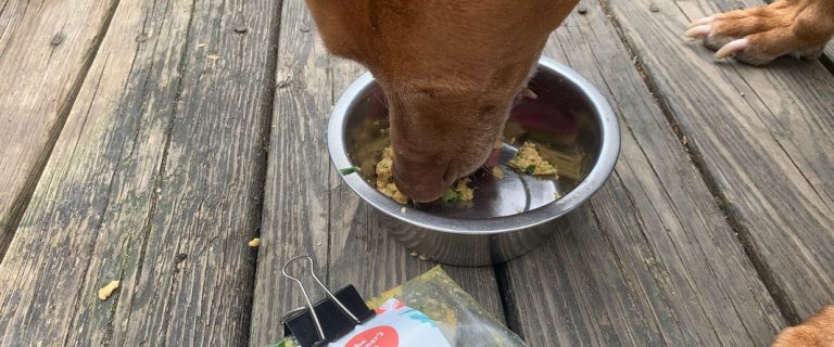 the farmers dog food review