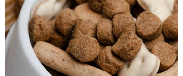 Looking for a great way to “spice” up your pup’s food? Check out these 5 great dog kibble toppers!