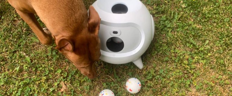 Uahpet automatic ball launcher